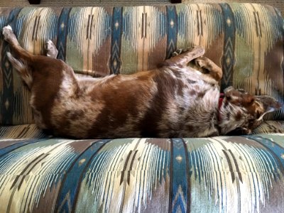 "I am NOT spoiled!'