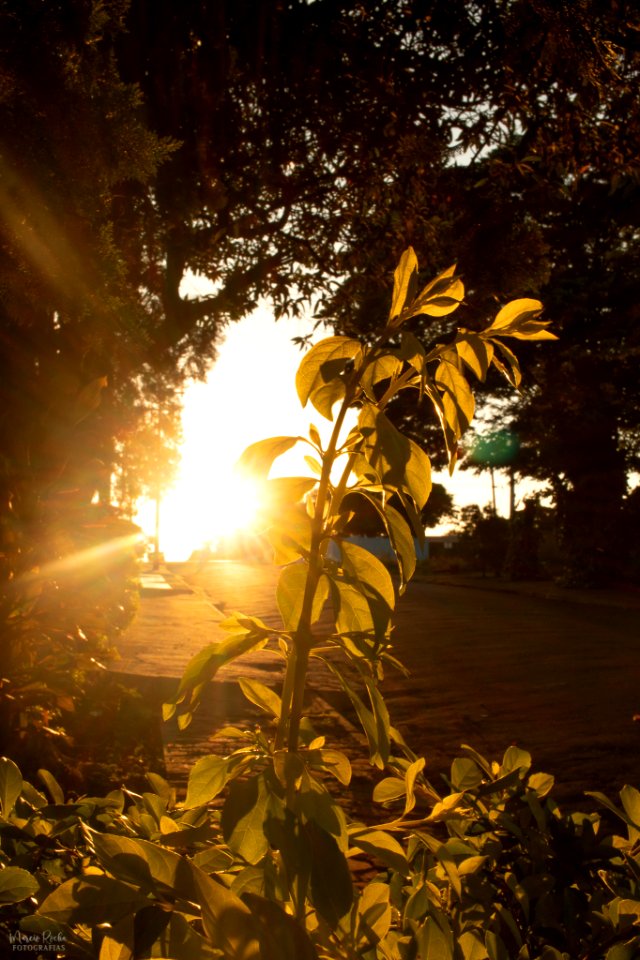 Fotos de inspiração