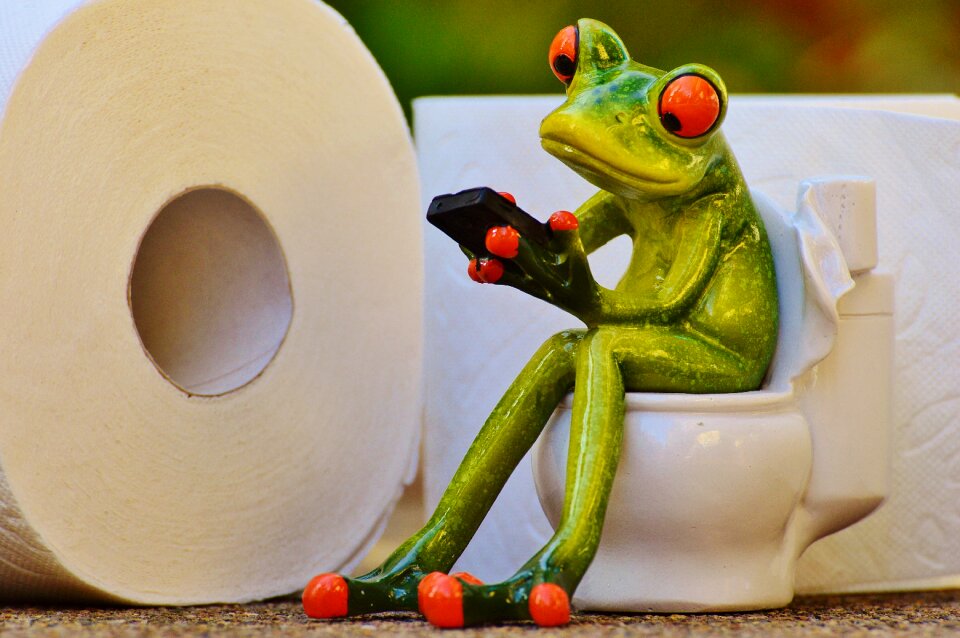 Session funny toilet paper