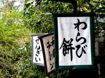 Kyoto day 5