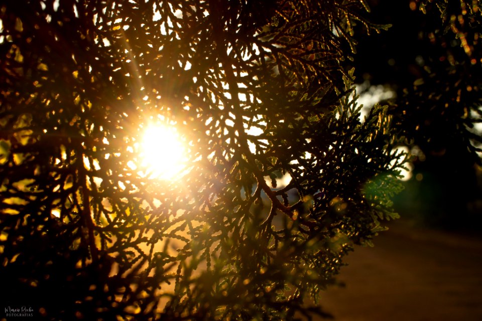Fotos de inspiração