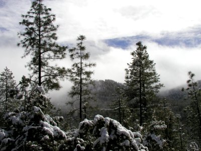 Strawberry Mountain