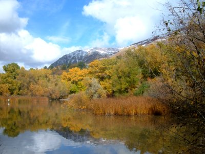 Pond in Autumn photo