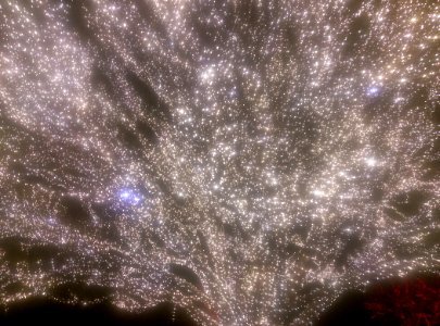 Christmas Tree Close-Up (taken with horrible smartphone cam, but shimmering and ghostly)