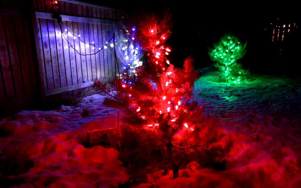 Primary Color Trees