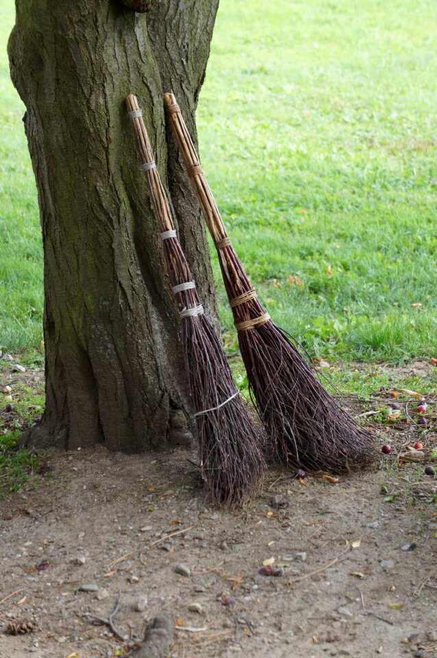 Brooms tree grass