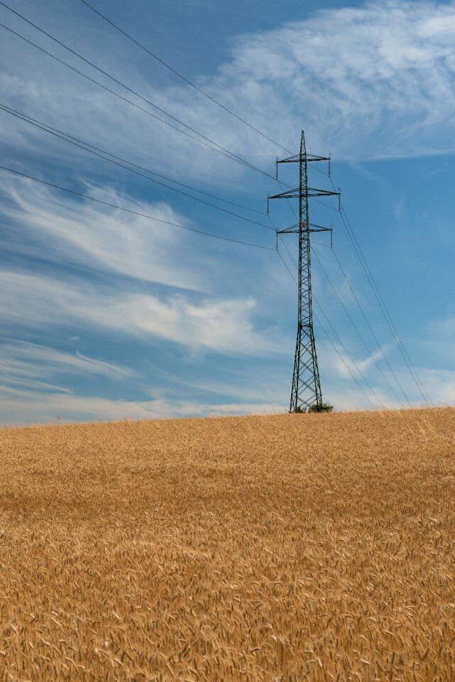 Cables the sky barley