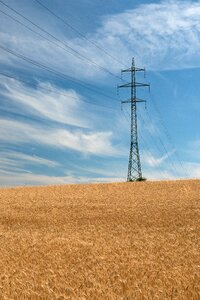 Cables the sky barley