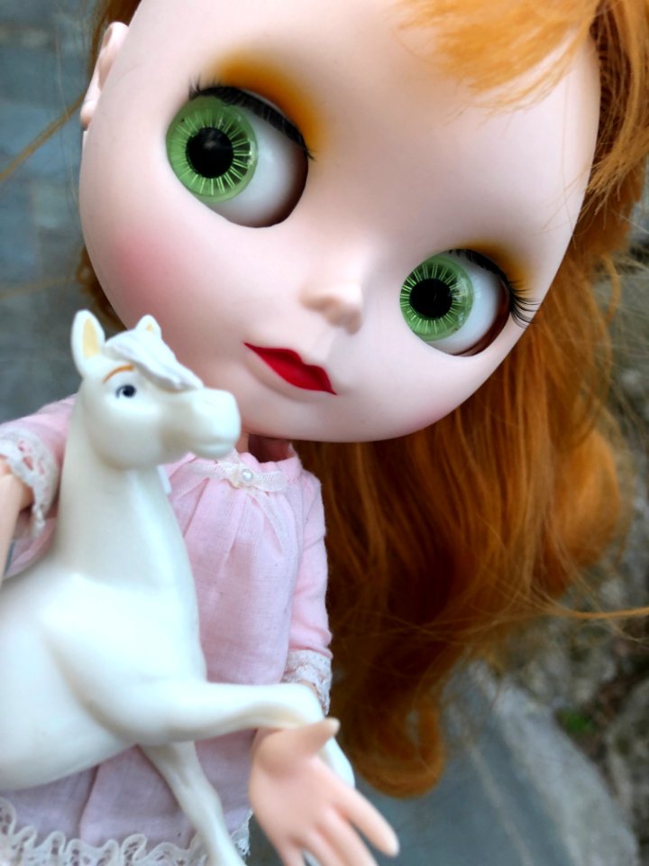 Pretty White Horse
