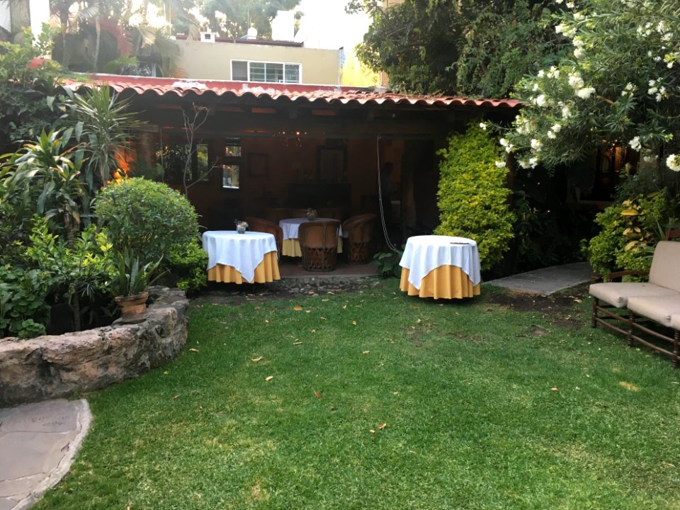 Back in the Back Garden