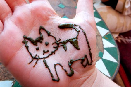 Henna kitty photo