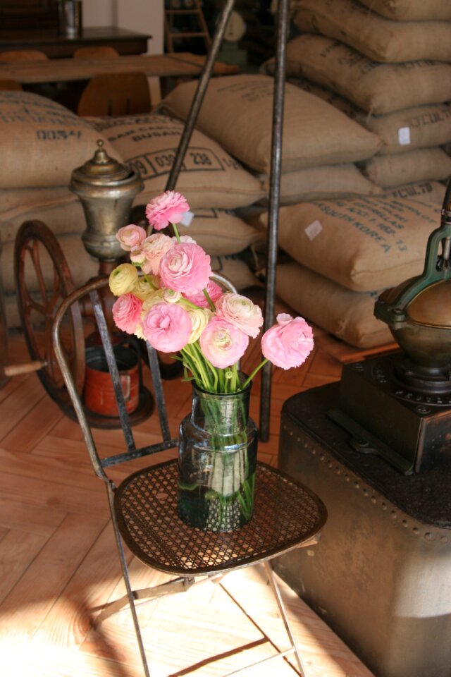 Pink flower comfort free