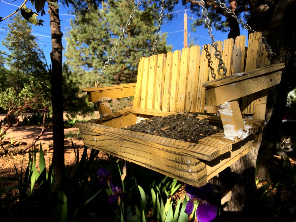New Old Swing