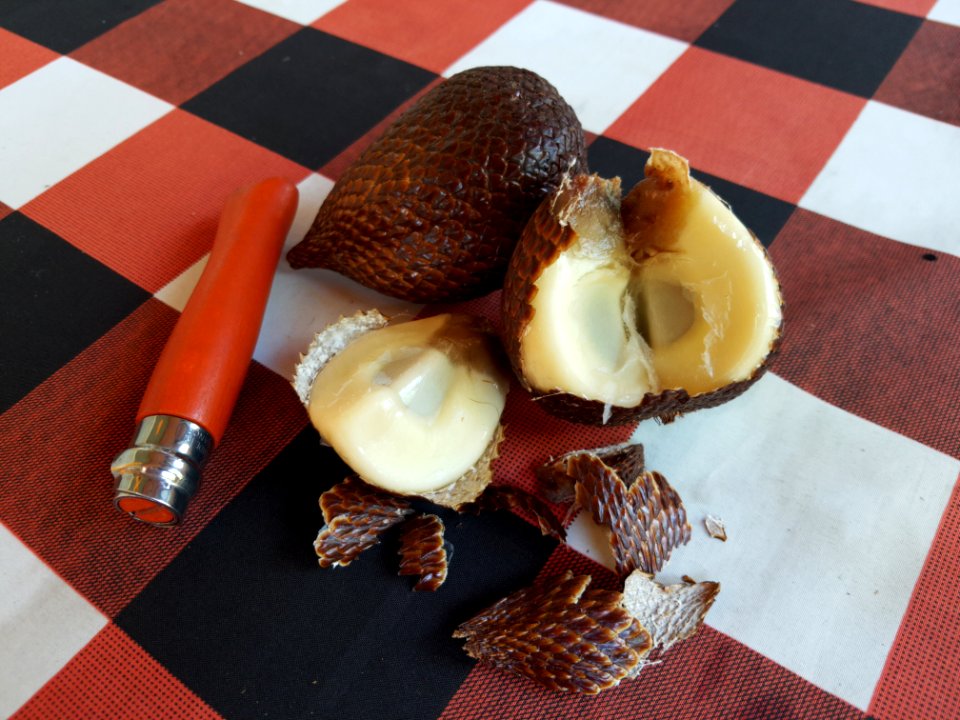 Schlangen(haut)frucht