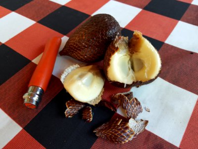 Schlangen(haut)frucht