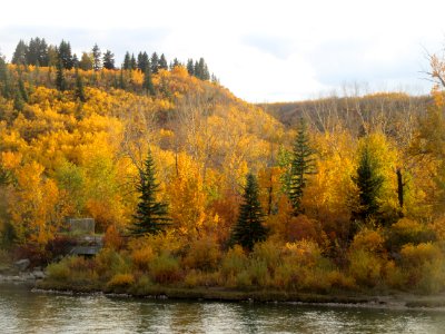 Calgary Hills in Autumn photo
