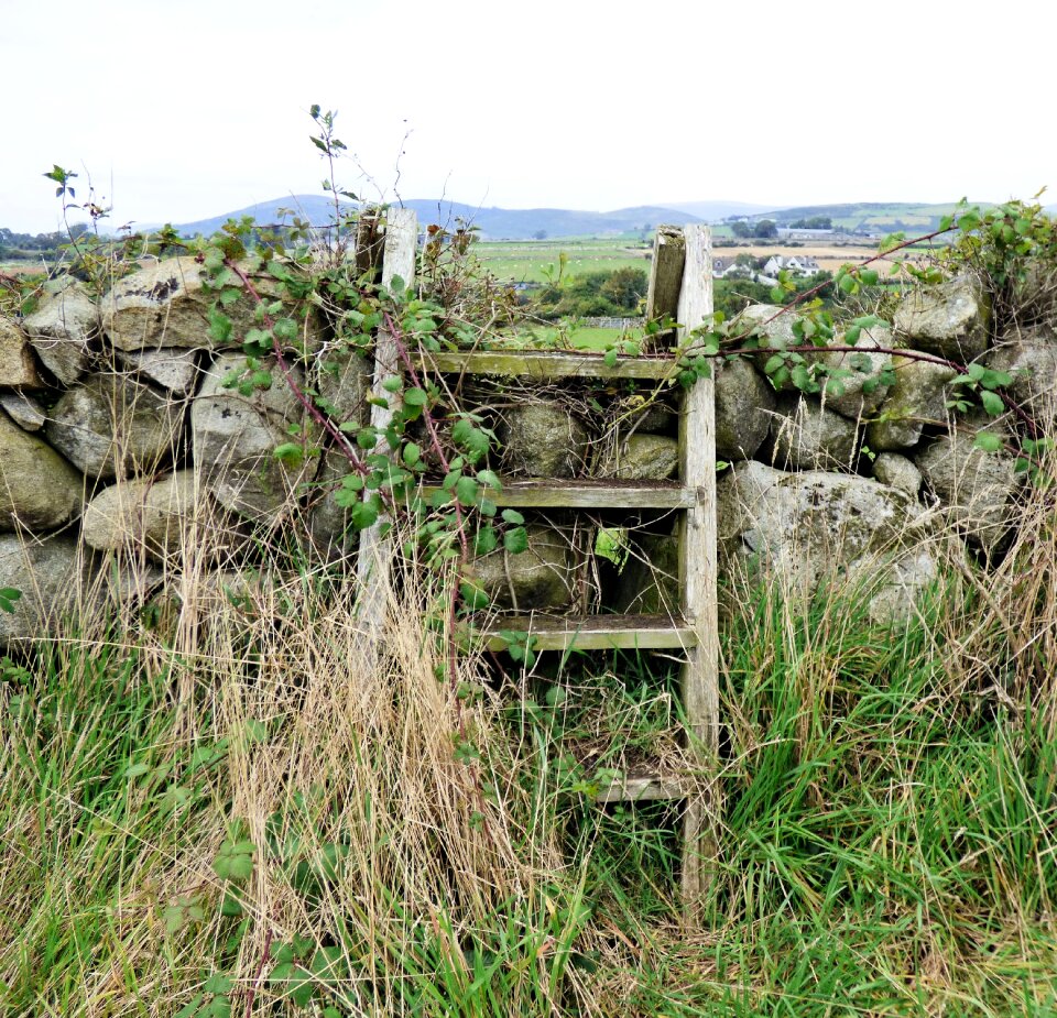 Wall outdoors style