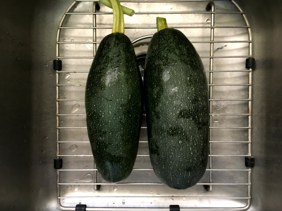 Two Squash Summer