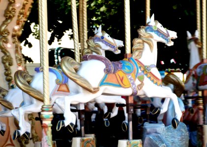 Random pictures from the local fair