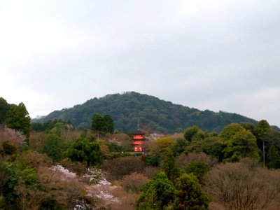 Kyoto day 5