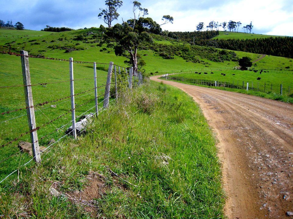 Tassie Countryside