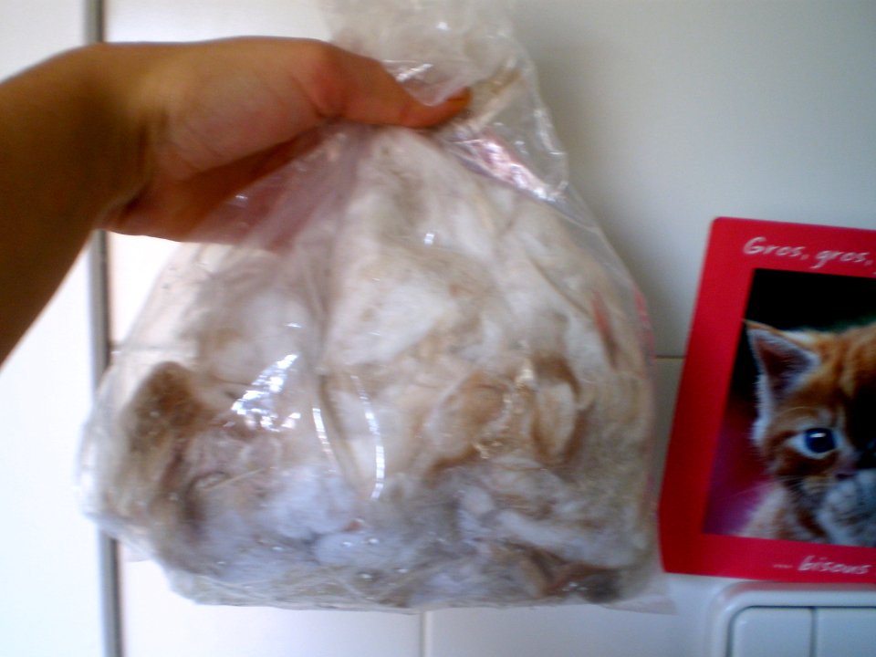 The fur I colected..