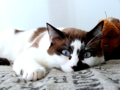 Nap time