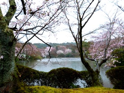 Kyoto day 5