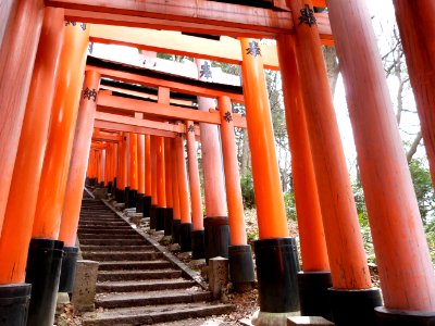 Kyoto 2 day: Fushimi Inari & Nara