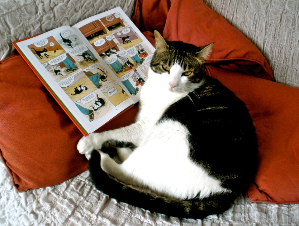 Things to do on a rainy sunday: Read