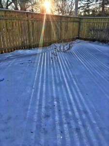 Morning Rays