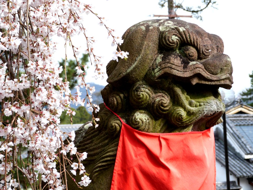 Kyoto 2 day: Fushimi Inari & Nara