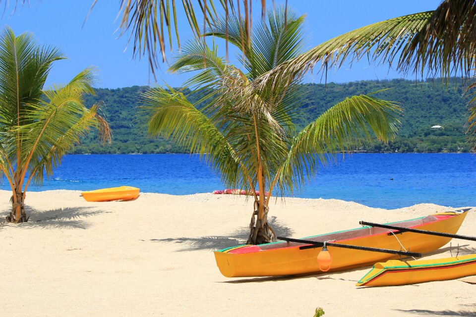 Palm tree canoe island