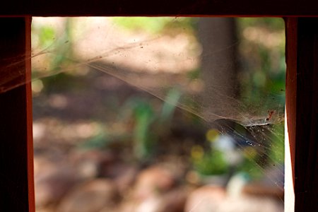 Web Weaver