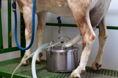 Milk Machine