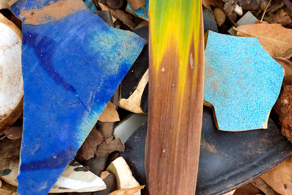 Amongst the Busted Pottery