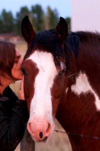 Horse Whispering