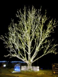 Memorial Estates Christmas Tree (visible through much of Salt Lake Valley)