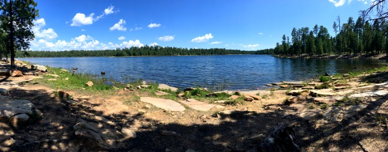 Shore View of Willow Springs Lake