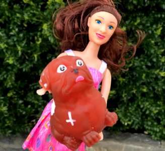 New Dog Nancy - Hi Ho
