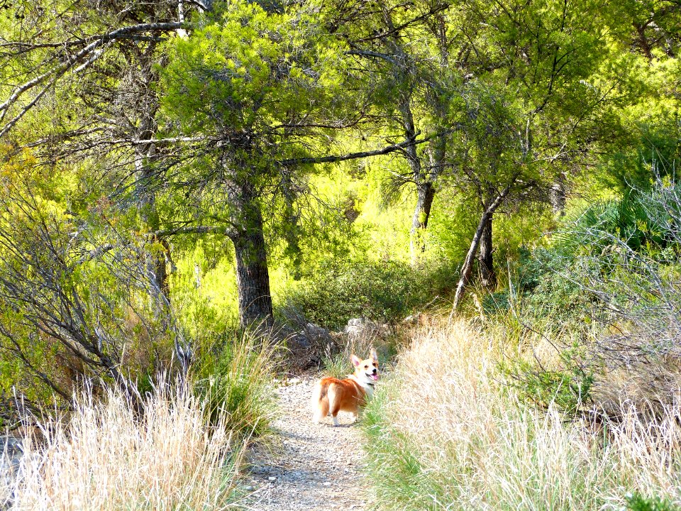 Sun hiking in Garraf