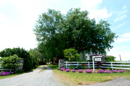 20110506-RD-LSC-1071
