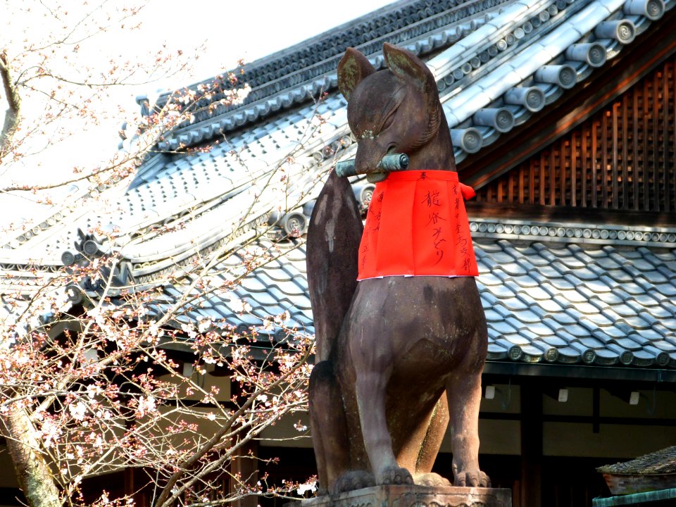 Kyoto 2 day: Fushimi Inari & Nara