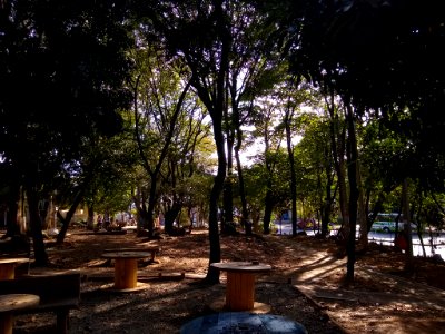 luz dura cenital 4