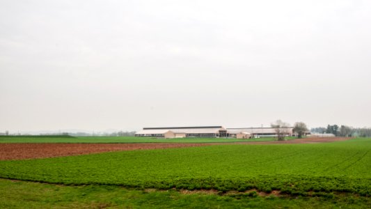 20110419-RD-LSC-0904