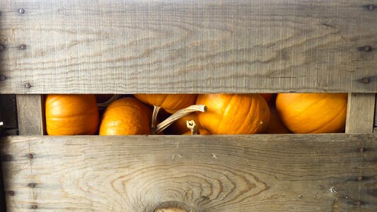 Autumn thanksgiving season
