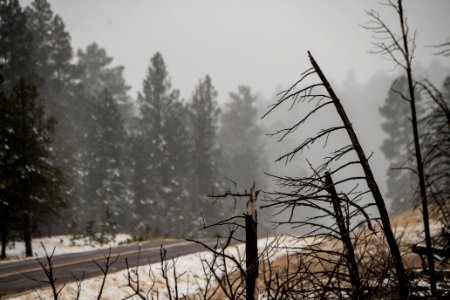 20181207-FS-APACHE-SITGREAVES-LSC-0470