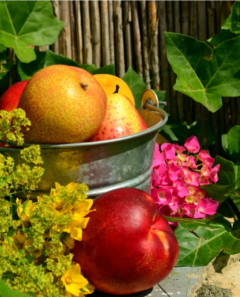 Summer refreshment vitamins