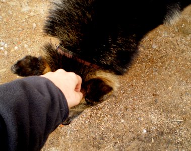 Jerome wants a hug!