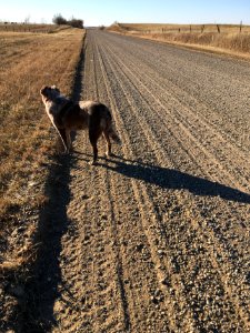 Further on Down The Road...